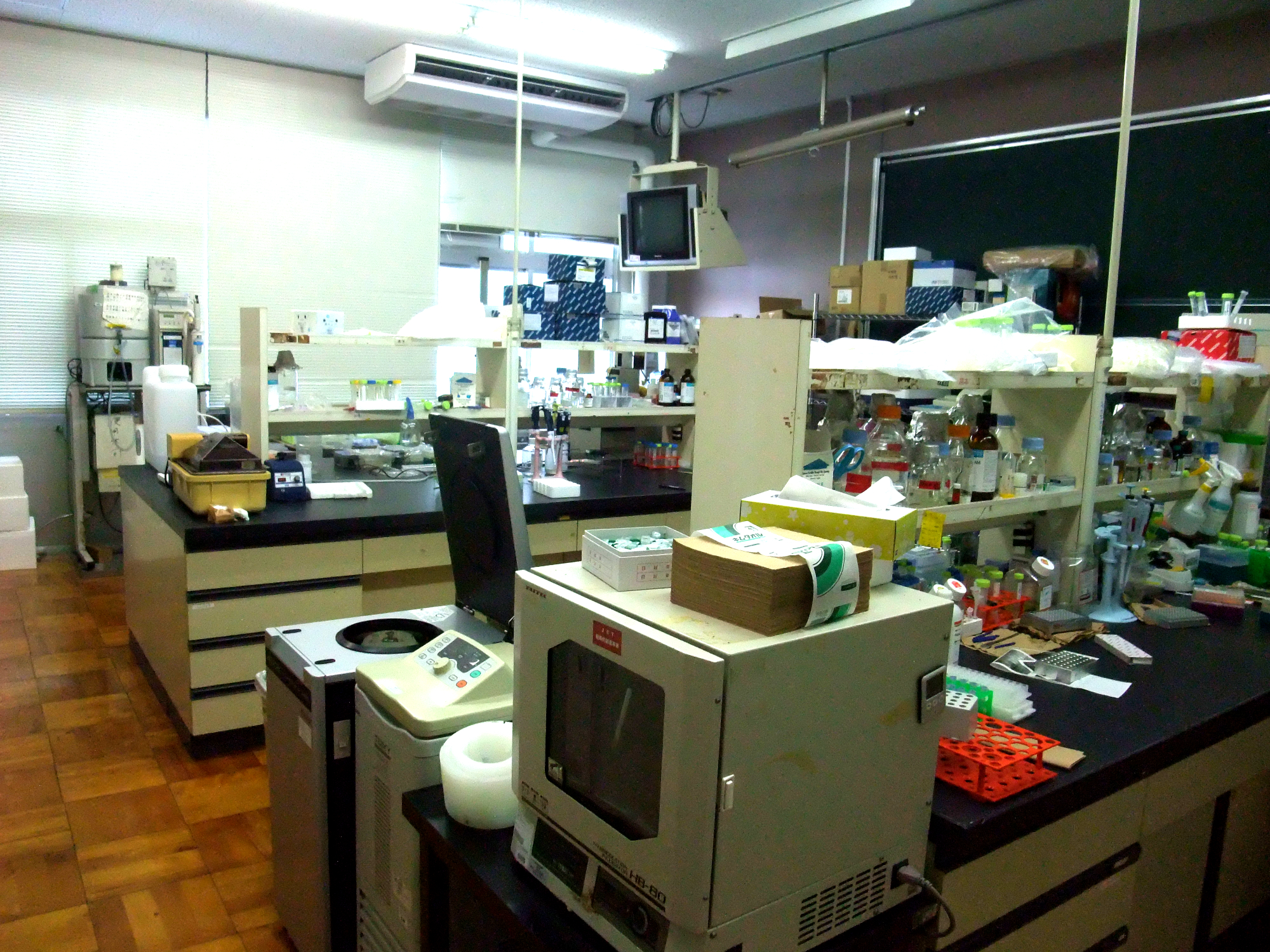 分子生物室