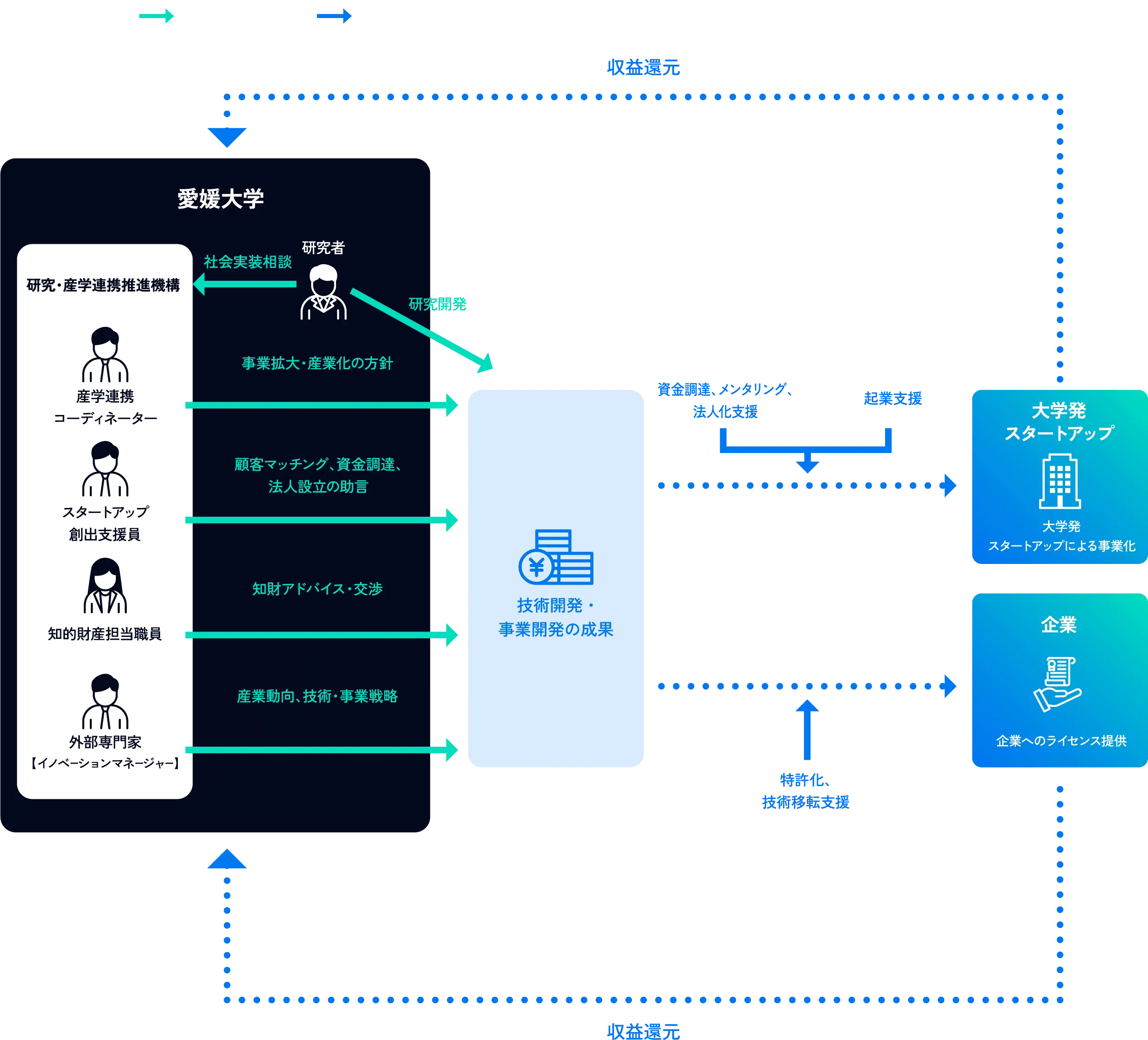大学における研究者・支援組織・外部専門家が連携し、技術開発・事業開発の成果をスタートアップ創出や企業へのライセンス提供につなげ、収益を大学へ還元する仕組みを示した図