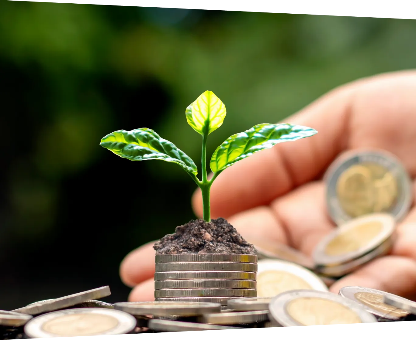 積み重ねたコインの上に芽吹く植物と硬貨を持つ手で、投資や事業成長を象徴したイメージ